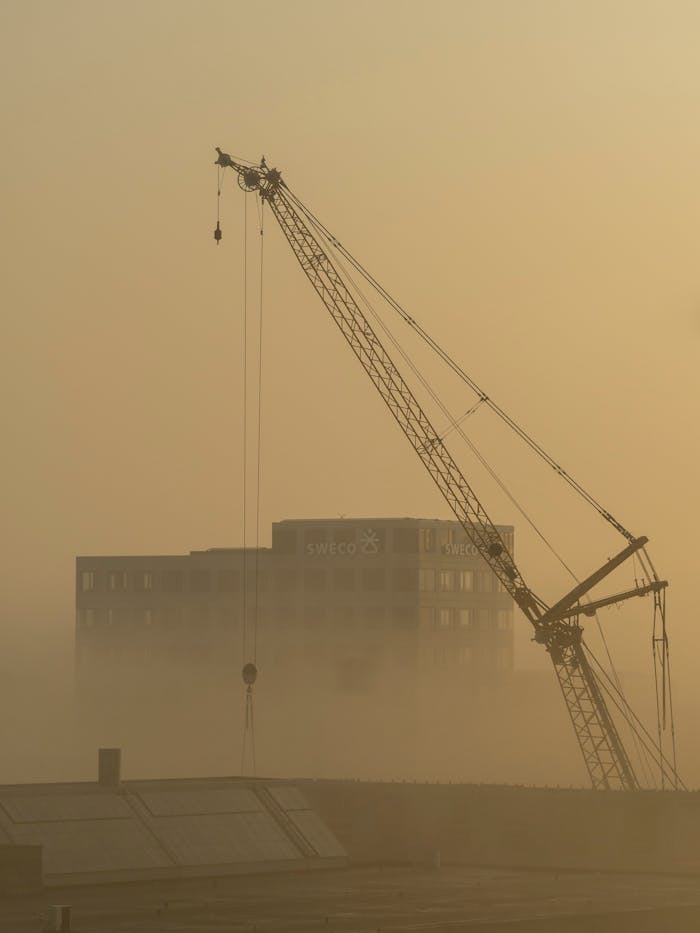 Cranes silhouetted against a misty Copenhagen sunrise, capturing urban construction.